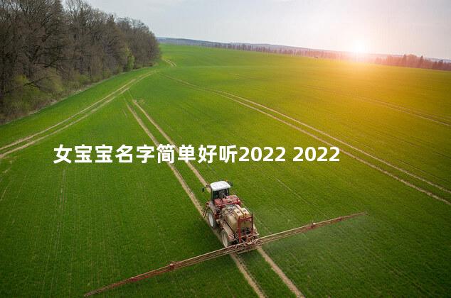 女宝宝名字简单好听2022 2022虎宝宝张姓名字